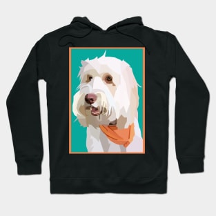 Australian Labradoodle Cute Hoodie